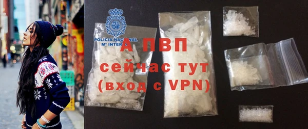 винт Богданович