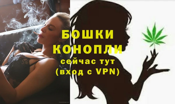 винт Богданович