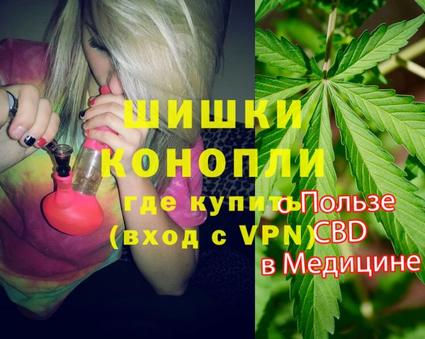 mdpv Богородицк
